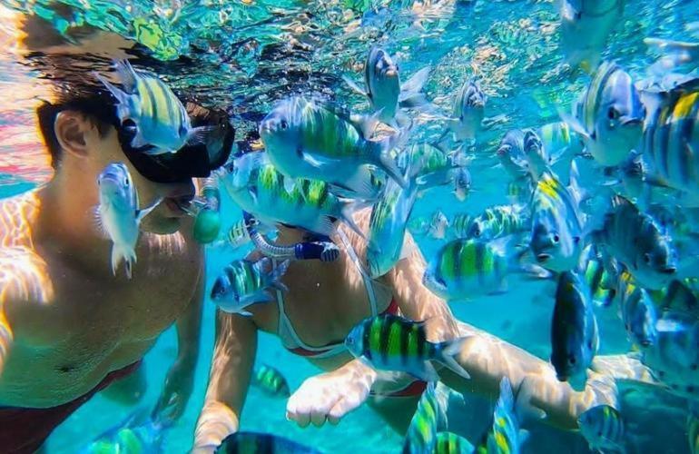 Sunrise Lagoon Homestay Nanuya Lailai Dış mekan fotoğraf